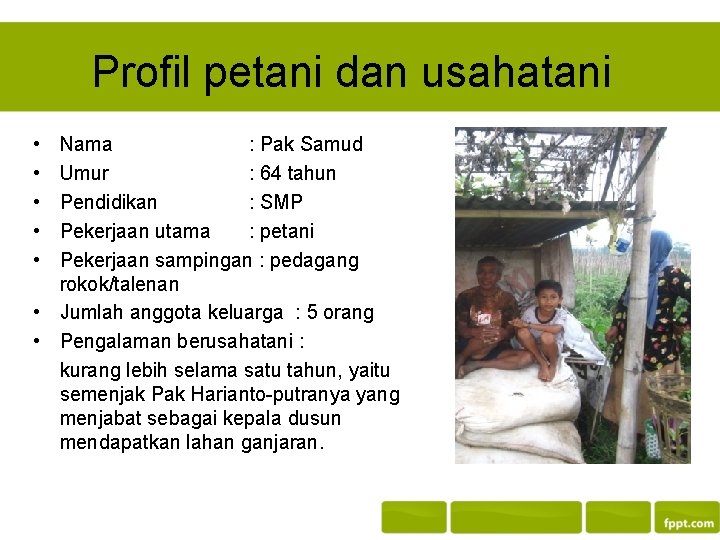 Profil petani dan usahatani • • • Nama : Pak Samud Umur : 64 Profil petani dan usahatani • • • Nama : Pak Samud Umur : 64