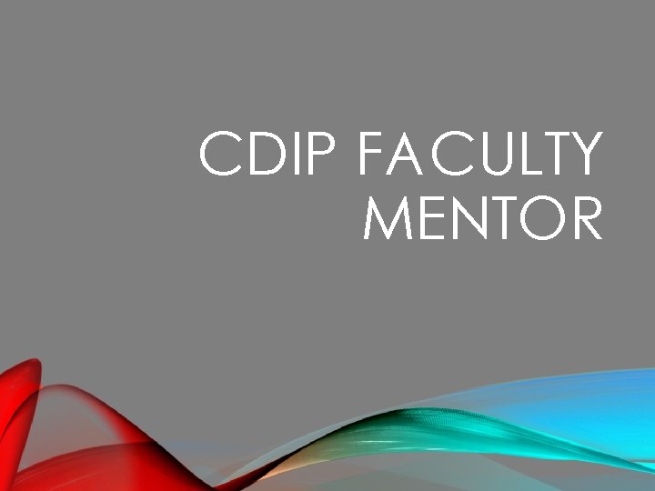 CDIP FACULTY MENTOR 