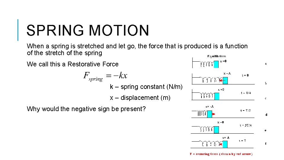 SPRING MOTION When a spring is stretched and let go, the force that is SPRING MOTION When a spring is stretched and let go, the force that is
