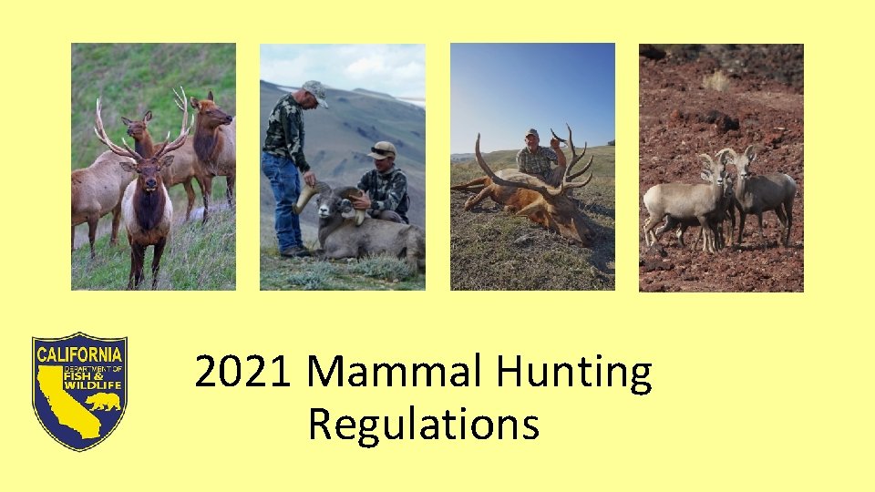 2021 Mammal Hunting Regulations for consideration 360