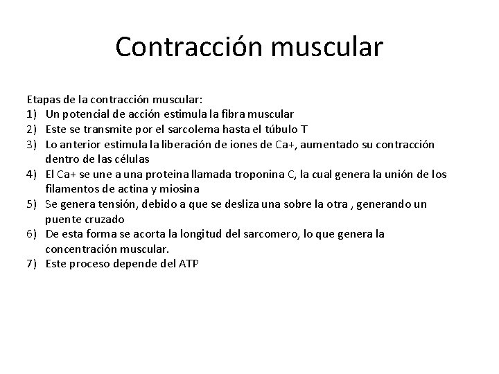 Contracción muscular Etapas de la contracción muscular: 1) Un potencial de acción estimula la