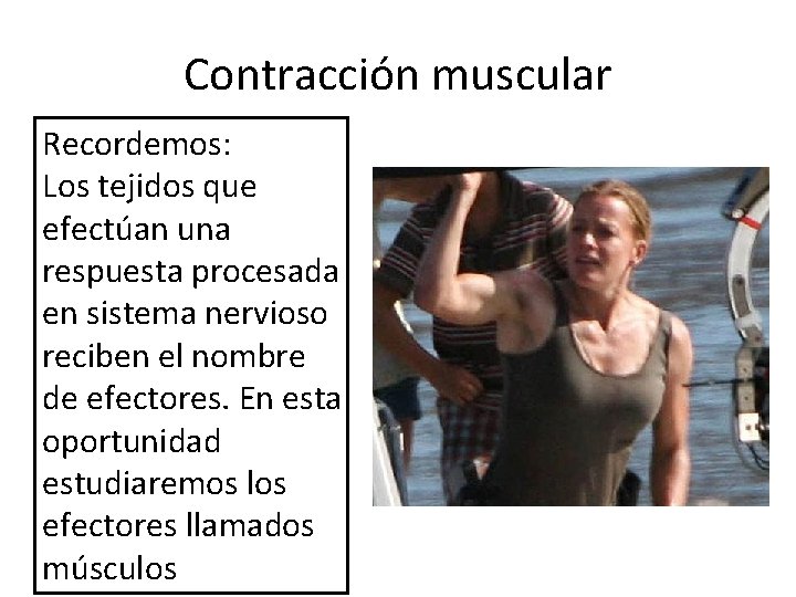 Contracción muscular Recordemos: Los tejidos que efectúan una respuesta procesada en sistema nervioso reciben