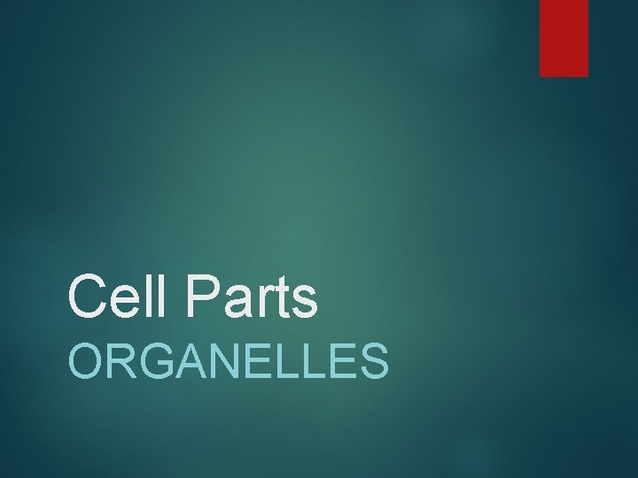 Cell Parts ORGANELLES 