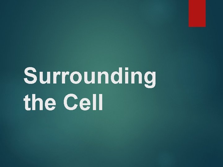 Surrounding the Cell 