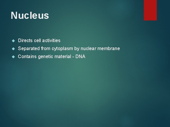 Nucleus Directs cell activities Separated from cytoplasm by nuclear membrane Contains genetic material -