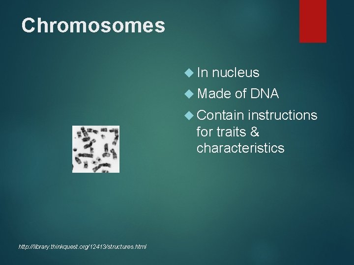 Chromosomes In nucleus Made of DNA Contain instructions for traits & characteristics http: //library.