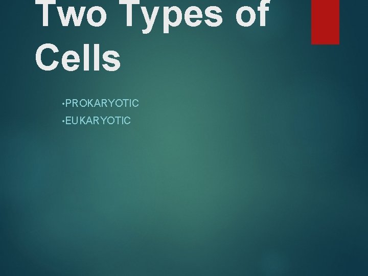 Two Types of Cells • PROKARYOTIC • EUKARYOTIC 