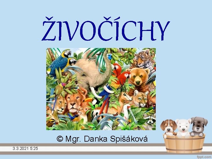 ŽIVOČÍCHY © Mgr. Danka Spišáková 3. 3. 2021 5: 25 