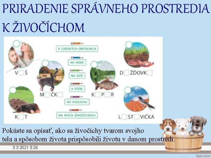 PRIRADENIE SPRÁVNEHO PROSTREDIA K ŽIVOČÍCHOM Pokúste sa opísať, ako sa živočíchy tvarom svojho tela