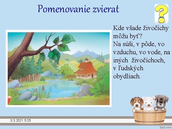 Pomenovanie zvierat Kde všade živočíchy môžu byť? Na súši, v pôde, vo vzduchu, vo