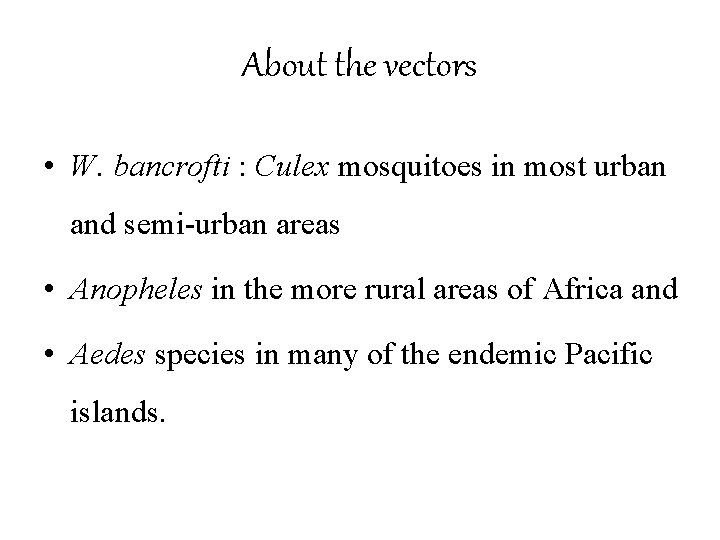 About the vectors • W. bancrofti : Culex mosquitoes in most urban and semi-urban