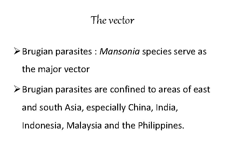 The vector Ø Brugian parasites : Mansonia species serve as the major vector Ø