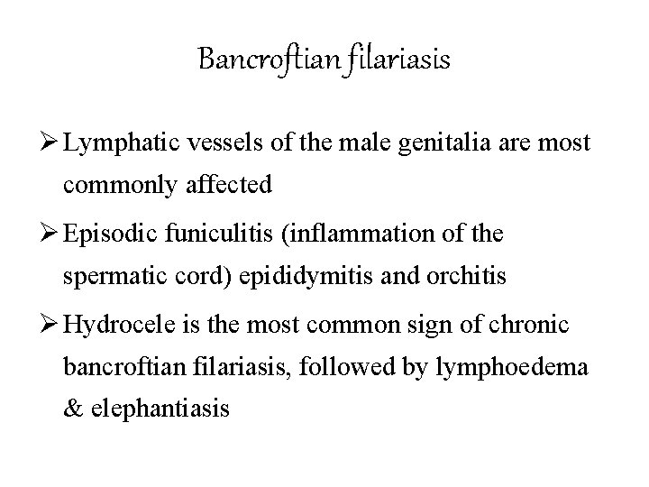 Bancroftian filariasis Ø Lymphatic vessels of the male genitalia are most commonly affected Ø