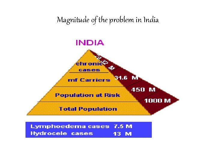 Magnitude of the problem in India 