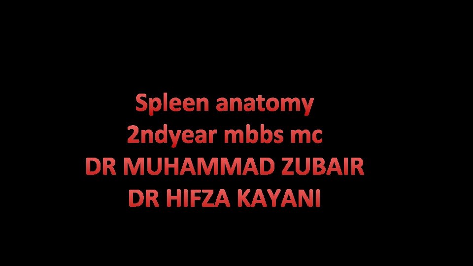 Spleen anatomy 2 ndyear mbbs mc DR MUHAMMAD ZUBAIR DR HIFZA KAYANI 