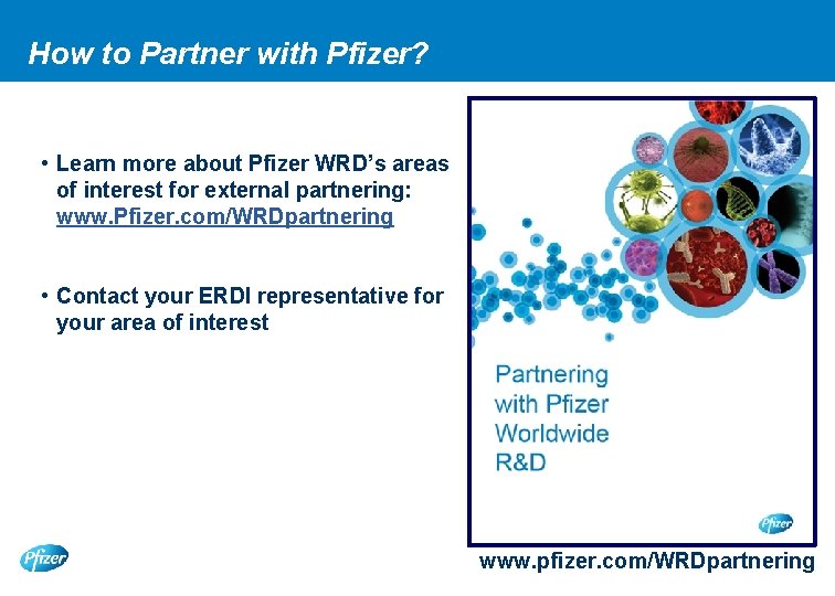 How to Partner with Pfizer? • Learn more about Pfizer WRD’s areas of interest