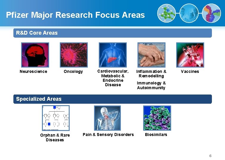 Pfizer Major Research Focus Areas R&D Core Areas Neuroscience Oncology Cardiovascular, Metabolic & Endocrine