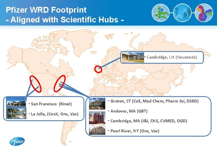 Pfizer WRD Footprint - Aligned with Scientific Hubs - • Cambridge, UK (Neusentis) •