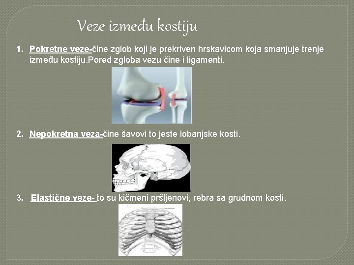 Veze između kostiju 1. Pokretne veze-čine zglob koji je prekriven hrskavicom koja smanjuje trenje