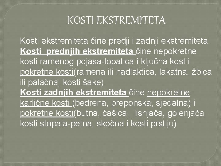 KOSTI EKSTREMITETA Kosti ekstremiteta čine predji i zadnji ekstremiteta. Kosti prednjih ekstremiteta čine nepokretne