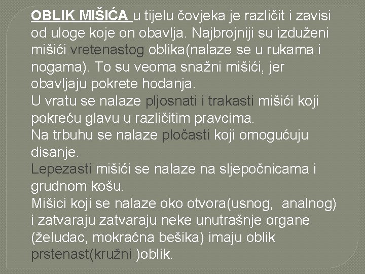 OBLIK MIŠIĆA u tijelu čovjeka je različit i zavisi od uloge koje on obavlja.