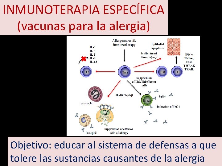 INMUNOTERAPIA ESPECÍFICA (vacunas para la alergia) Objetivo: educar al sistema de defensas a que