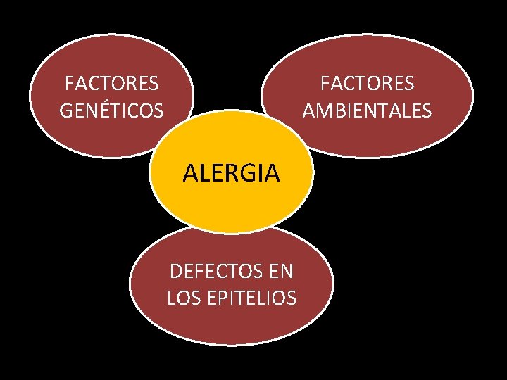 FACTORES GENÉTICOS FACTORES AMBIENTALES ALERGIA DEFECTOS EN LOS EPITELIOS 