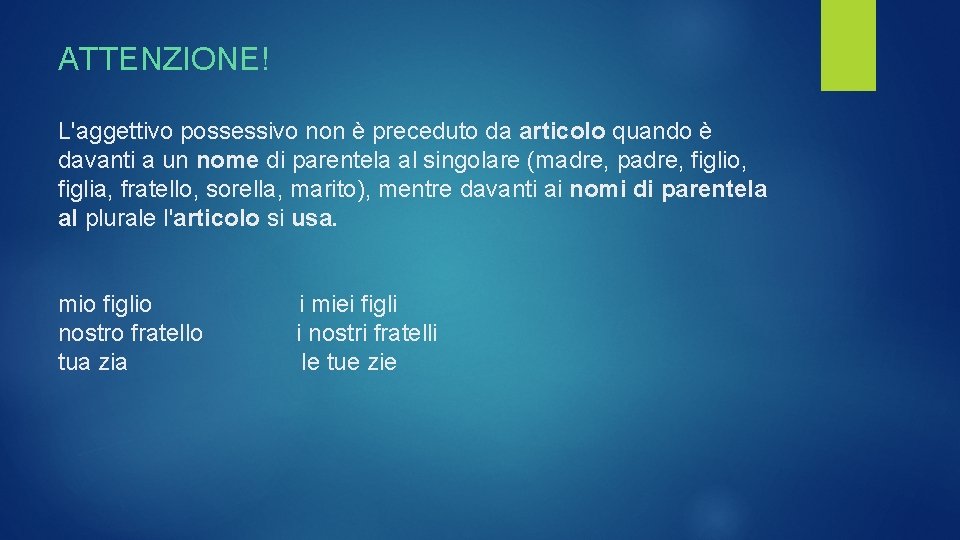 ATTENZIONE! L'aggettivo possessivo non è preceduto da articolo quando è davanti a un nome