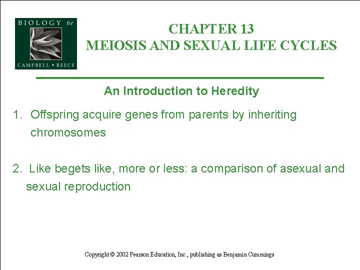 CHAPTER 13 MEIOSIS AND SEXUAL LIFE CYCLES An Introduction to Heredity 1. Offspring acquire