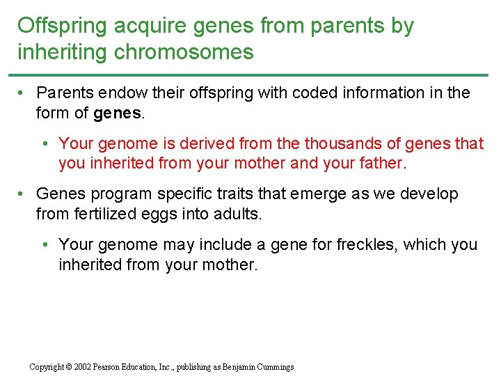 Offspring acquire genes from parents by inheriting chromosomes • Parents endow their offspring with