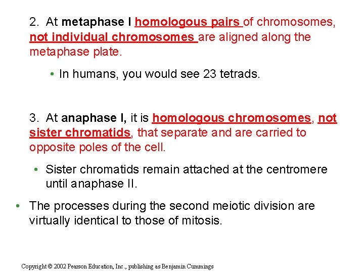 2. At metaphase I homologous pairs of chromosomes, not individual chromosomes are aligned along