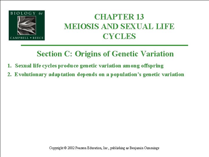 CHAPTER 13 MEIOSIS AND SEXUAL LIFE CYCLES Section C: Origins of Genetic Variation 1.
