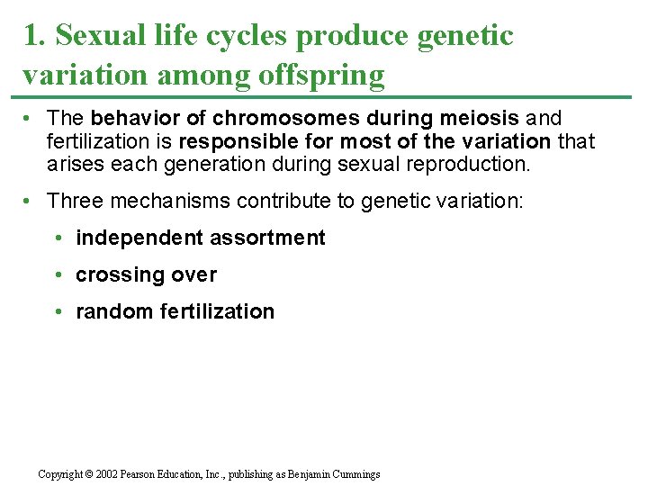 1. Sexual life cycles produce genetic variation among offspring • The behavior of chromosomes