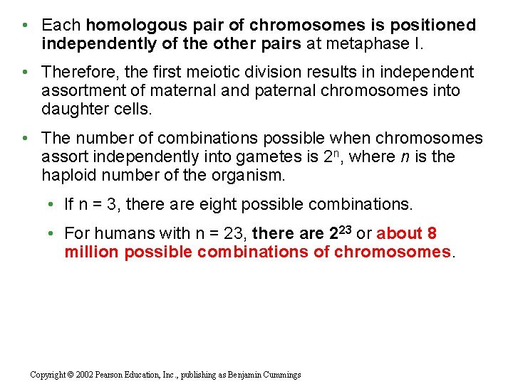  • Each homologous pair of chromosomes is positioned independently of the other pairs