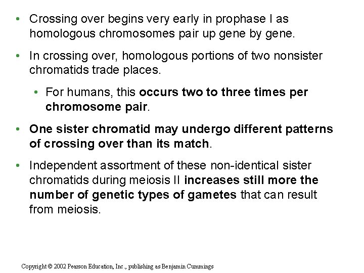  • Crossing over begins very early in prophase I as homologous chromosomes pair