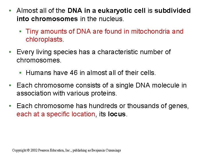  • Almost all of the DNA in a eukaryotic cell is subdivided into