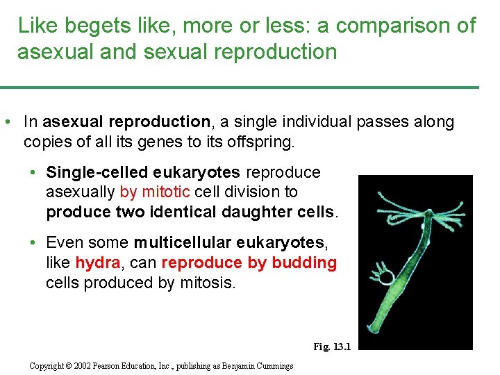 Like begets like, more or less: a comparison of asexual and sexual reproduction •