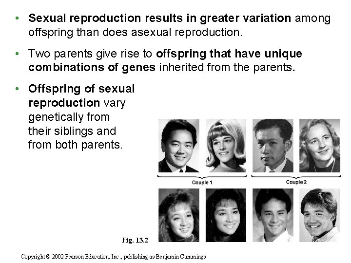  • Sexual reproduction results in greater variation among offspring than does asexual reproduction.