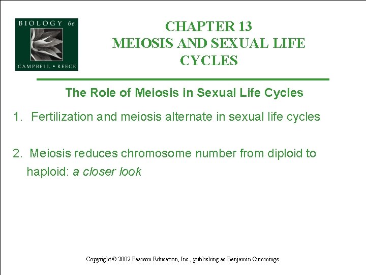 CHAPTER 13 MEIOSIS AND SEXUAL LIFE CYCLES The Role of Meiosis in Sexual Life