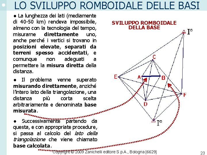 LO SVILUPPO ROMBOIDALE DELLE BASI ● La lunghezza dei lati (mediamente di 40 -50