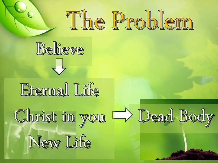 The Problem Believe Eternal Life Christ in you New Life Dead Body 