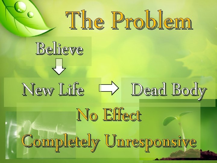 The Problem Believe New Life Dead Body No Effect Completely Unresponsive 