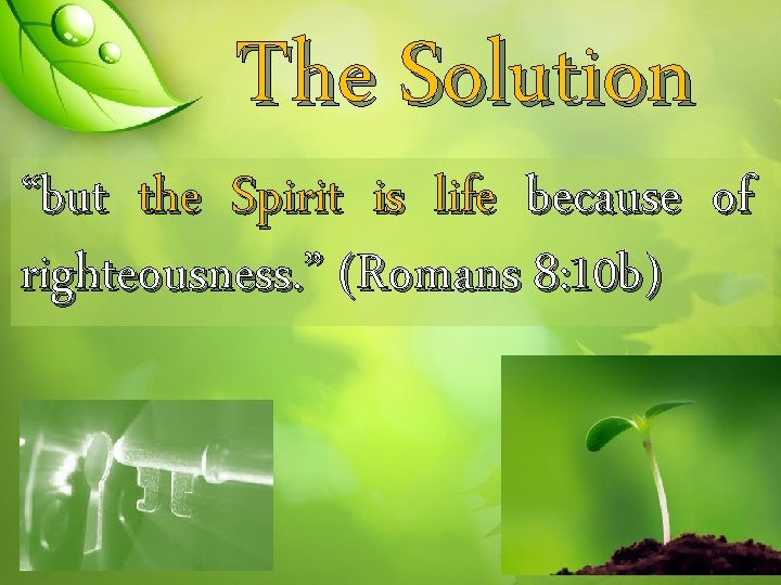 The Solution “but the Spirit is life because of righteousness. ” (Romans 8: 10