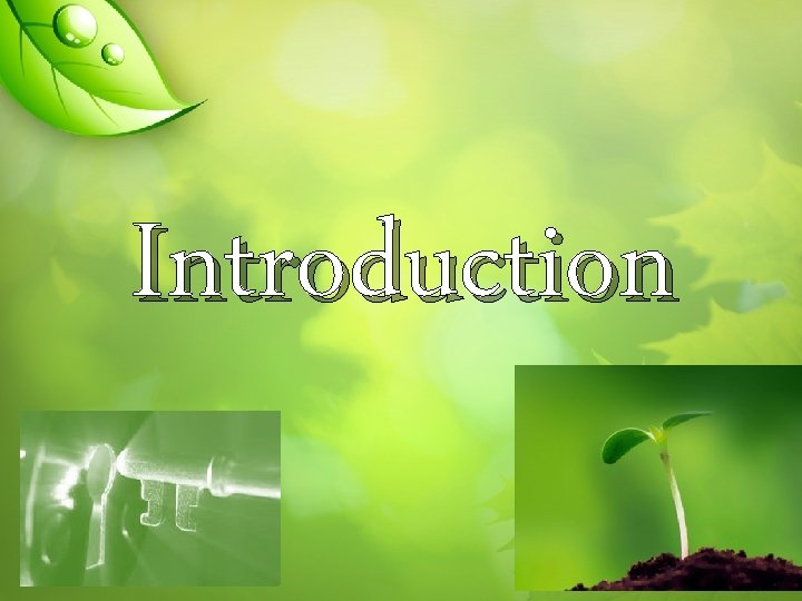 Introduction 