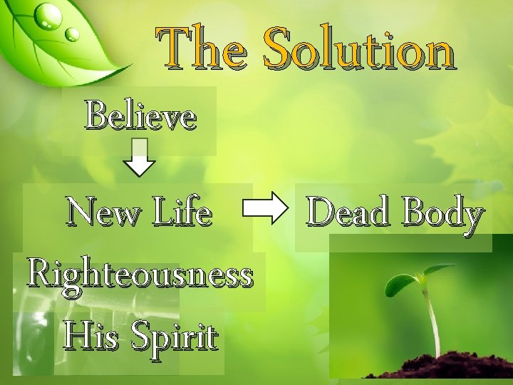 The Solution Believe New Life Dead Body Righteousness His Spirit 