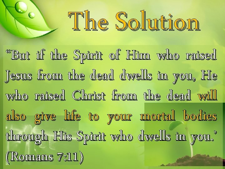 The Solution “But if the Spirit of Him who raised Jesus from the dead