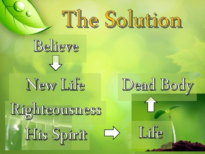 The Solution Believe New Life Dead Body Righteousness Life His Spirit 