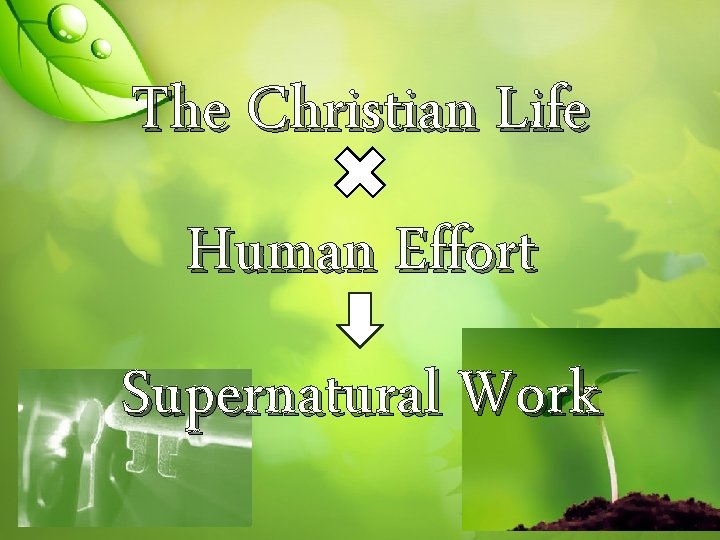 The Christian Life Human Effort Supernatural Work 