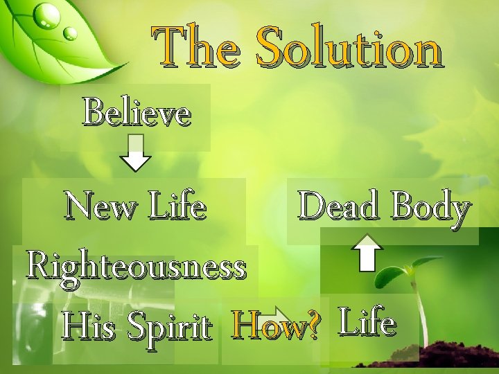 The Solution Believe New Life Dead Body Righteousness His Spirit How? Life 