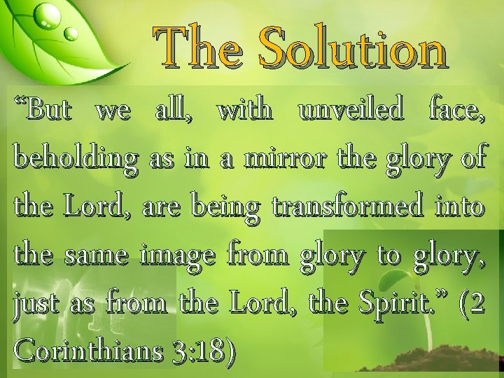 The Solution “But we all, with unveiled face, beholding as in a mirror the